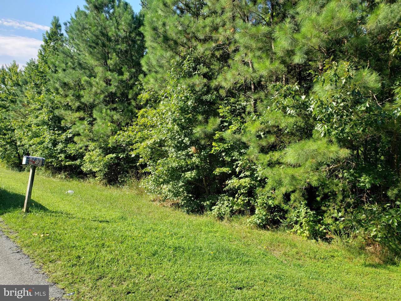 Three Notch - Photo 1