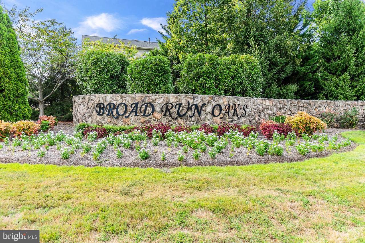 12120 Maidenhair Drive - Photo 1