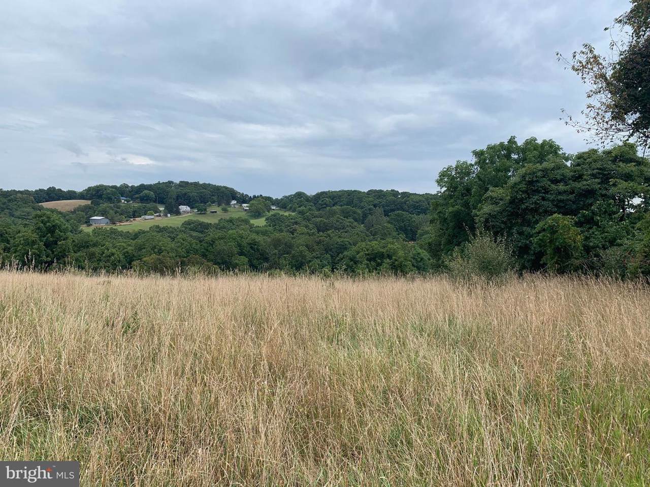 LOT 28 Feller Drive - Photo 1