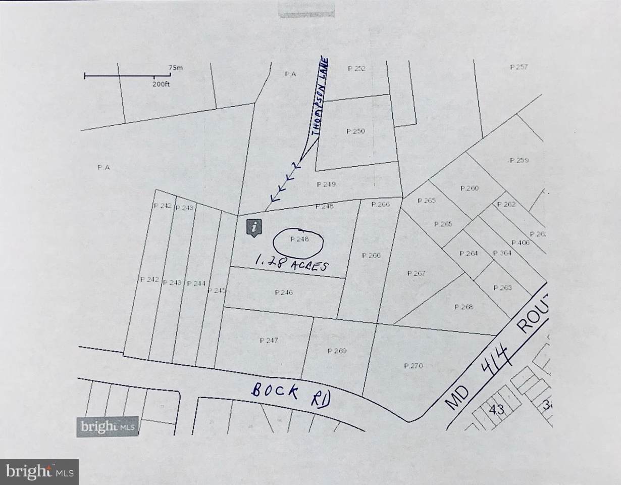 Thompson Lane Parcel Thompson Lane - Photo 1
