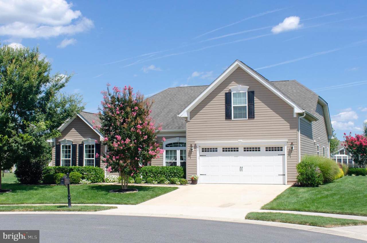 60 Ruddy Duck Lane - Photo 1