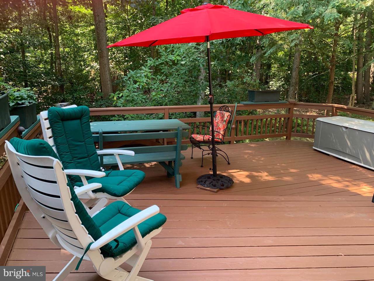 102 Spring Place Way - Photo 1