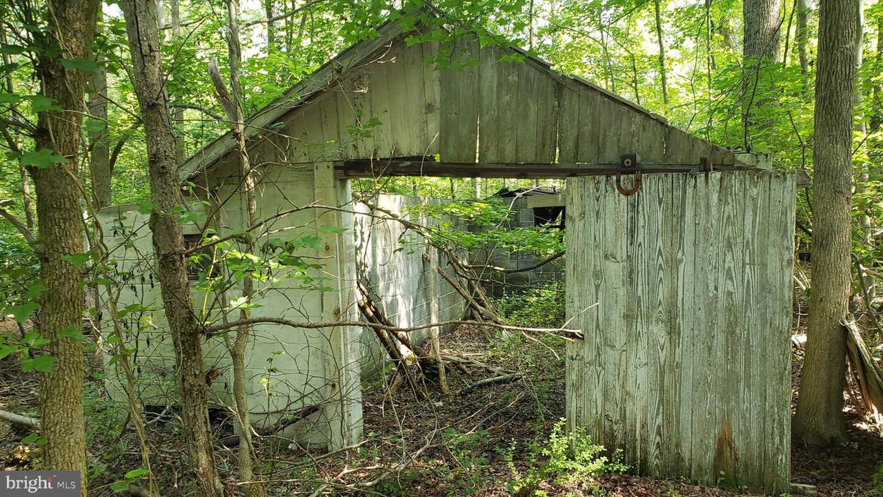 51 Laurel Avenue - Photo 1