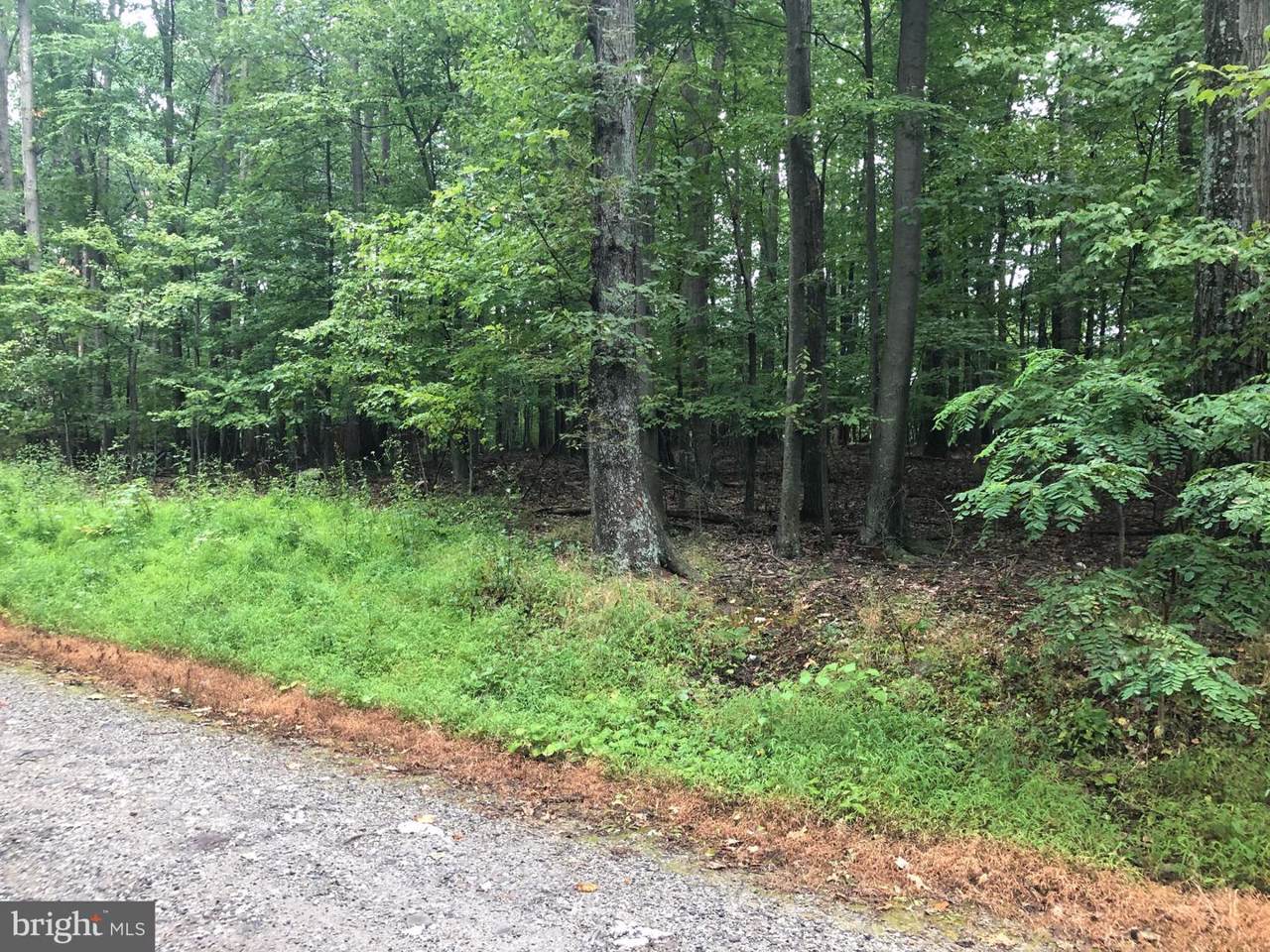 1395-B Green Ridge Road - Photo 1