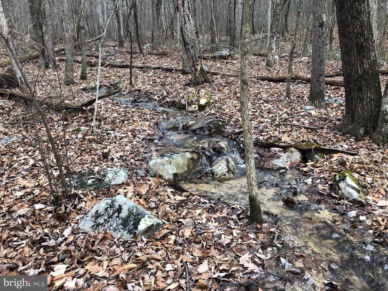 Fox Run - Photo 1