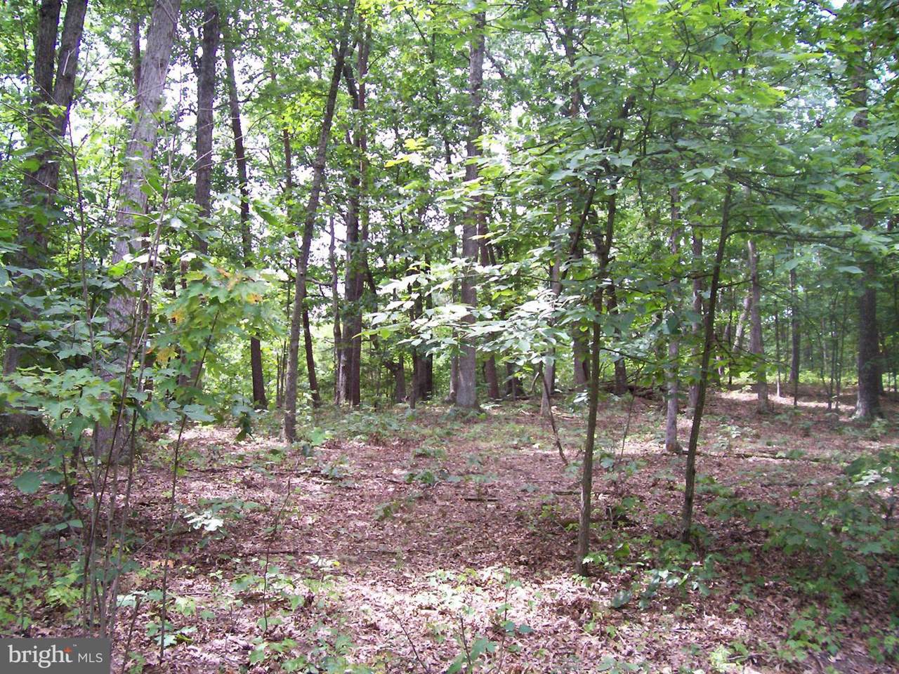Tannery Hollow Road - Photo 1