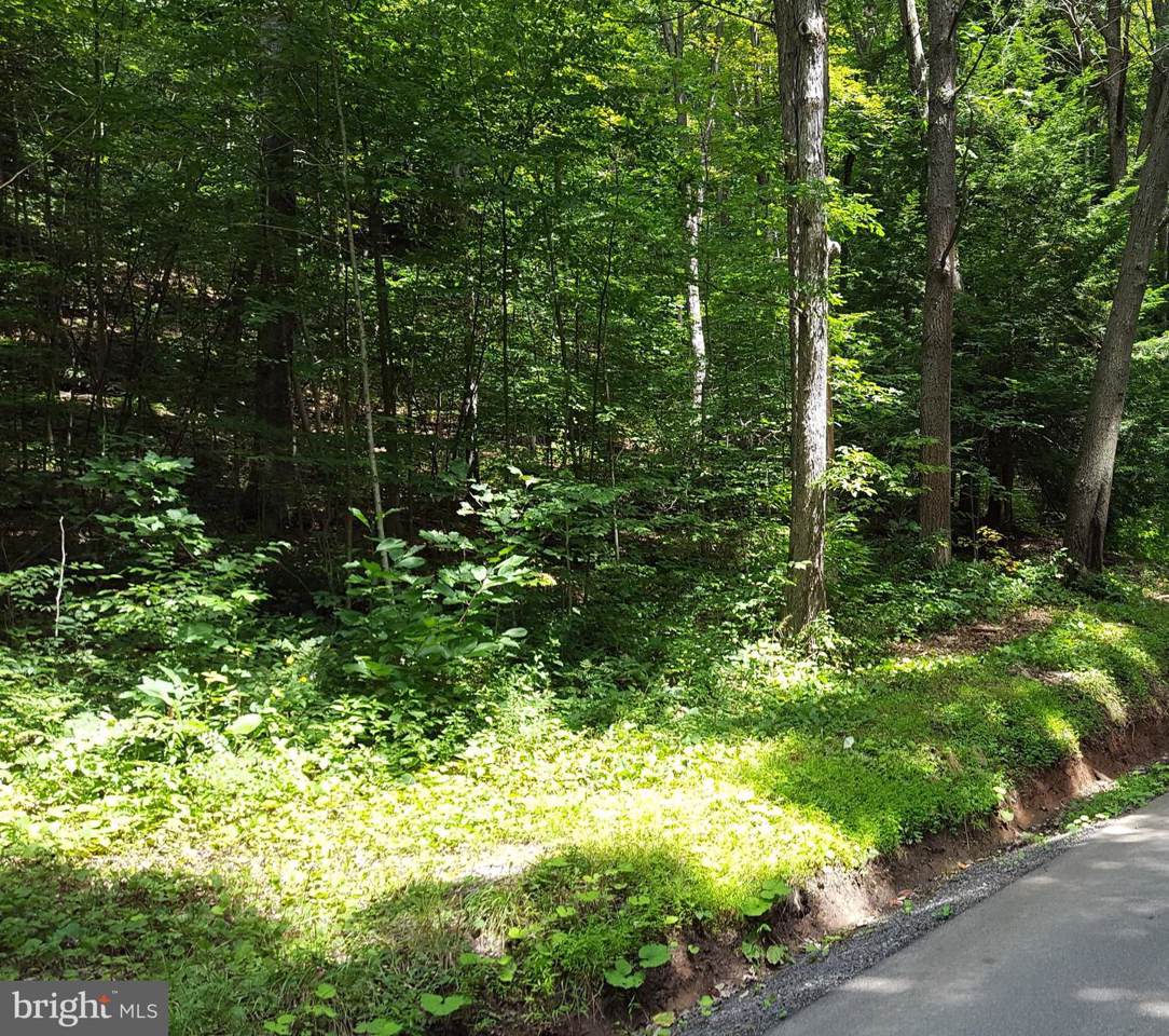 Bear Creek - Photo 1