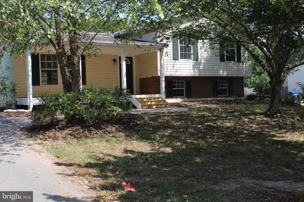 29412 Rosebud Court - Photo 1