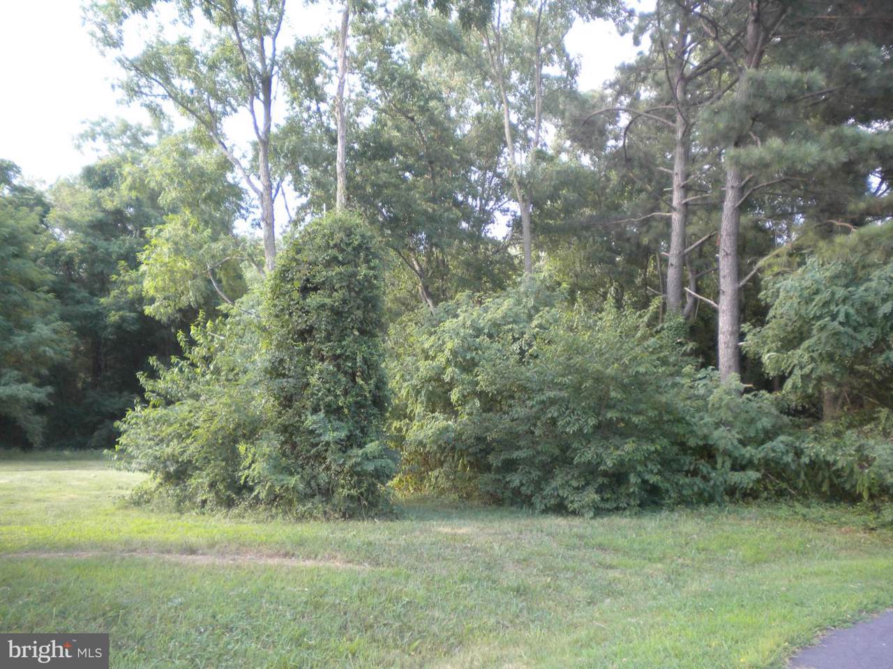 45712 Locust Glen - Photo 1