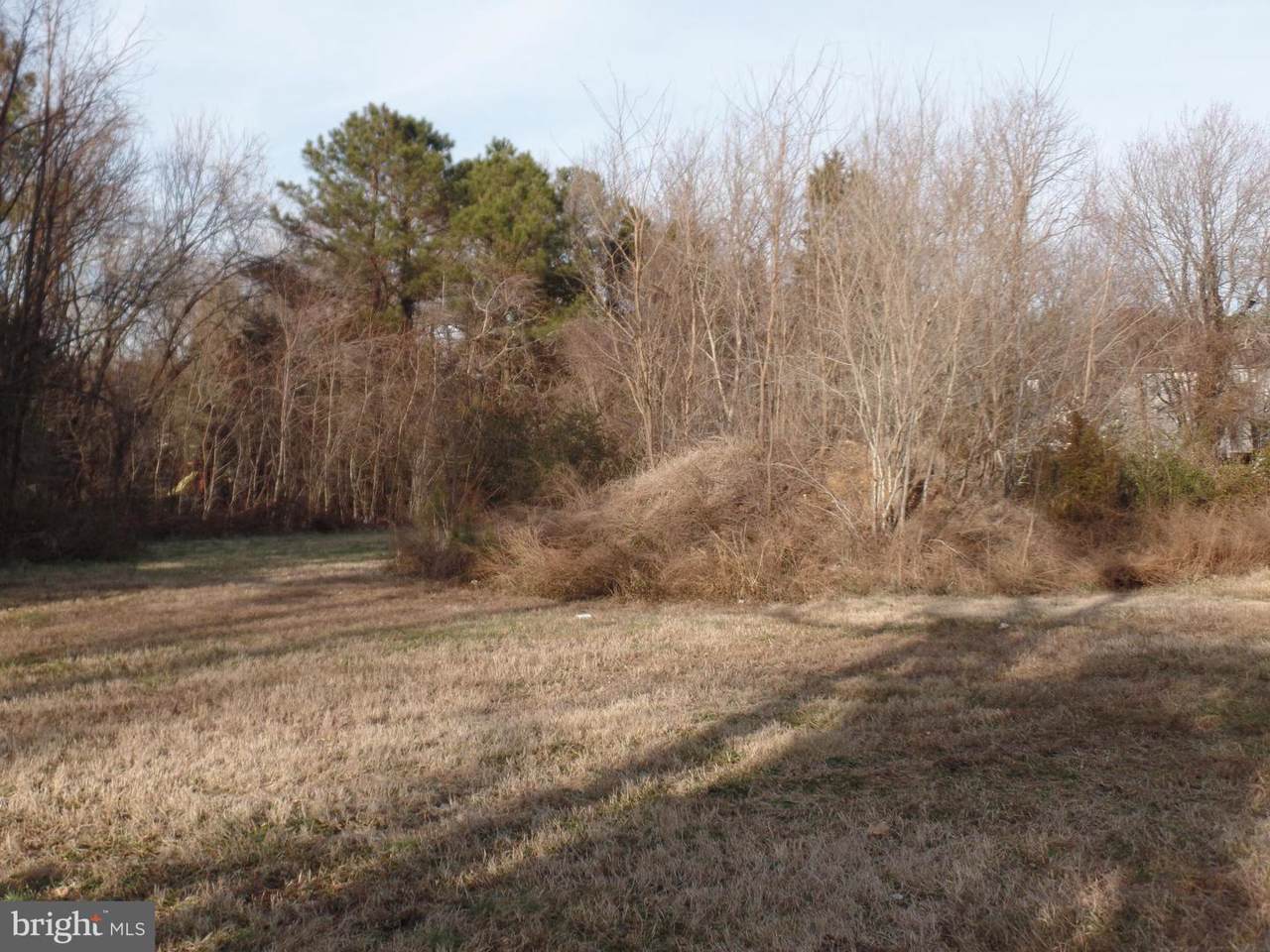 45730 Locust Glen - Photo 1