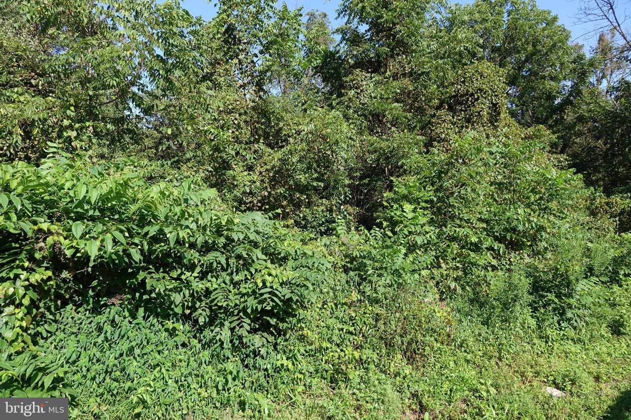 Lot 4 Company Farm Road - Photo 1