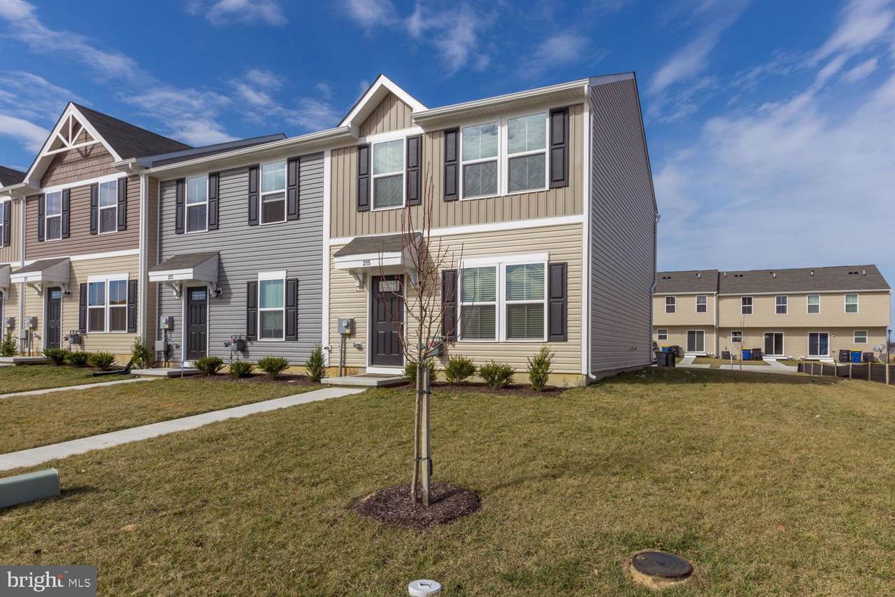 215 Lady Bug Drive - Photo 1
