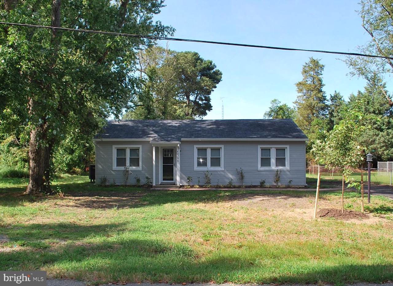 40286 Wolfe Drive - Photo 1