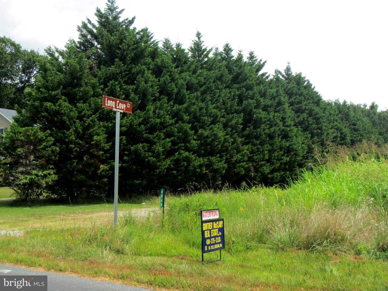 4885 Piney Neck Road - Photo 1