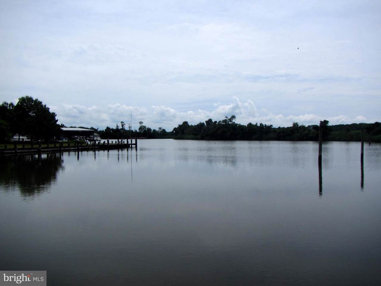 0 Piney Neck Road - Photo 1