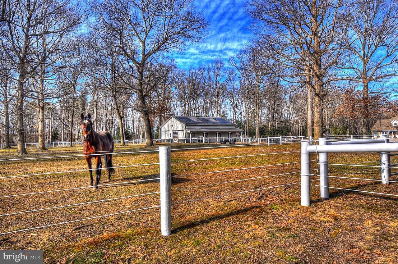 6509 Cedar Neck Road - Photo 1