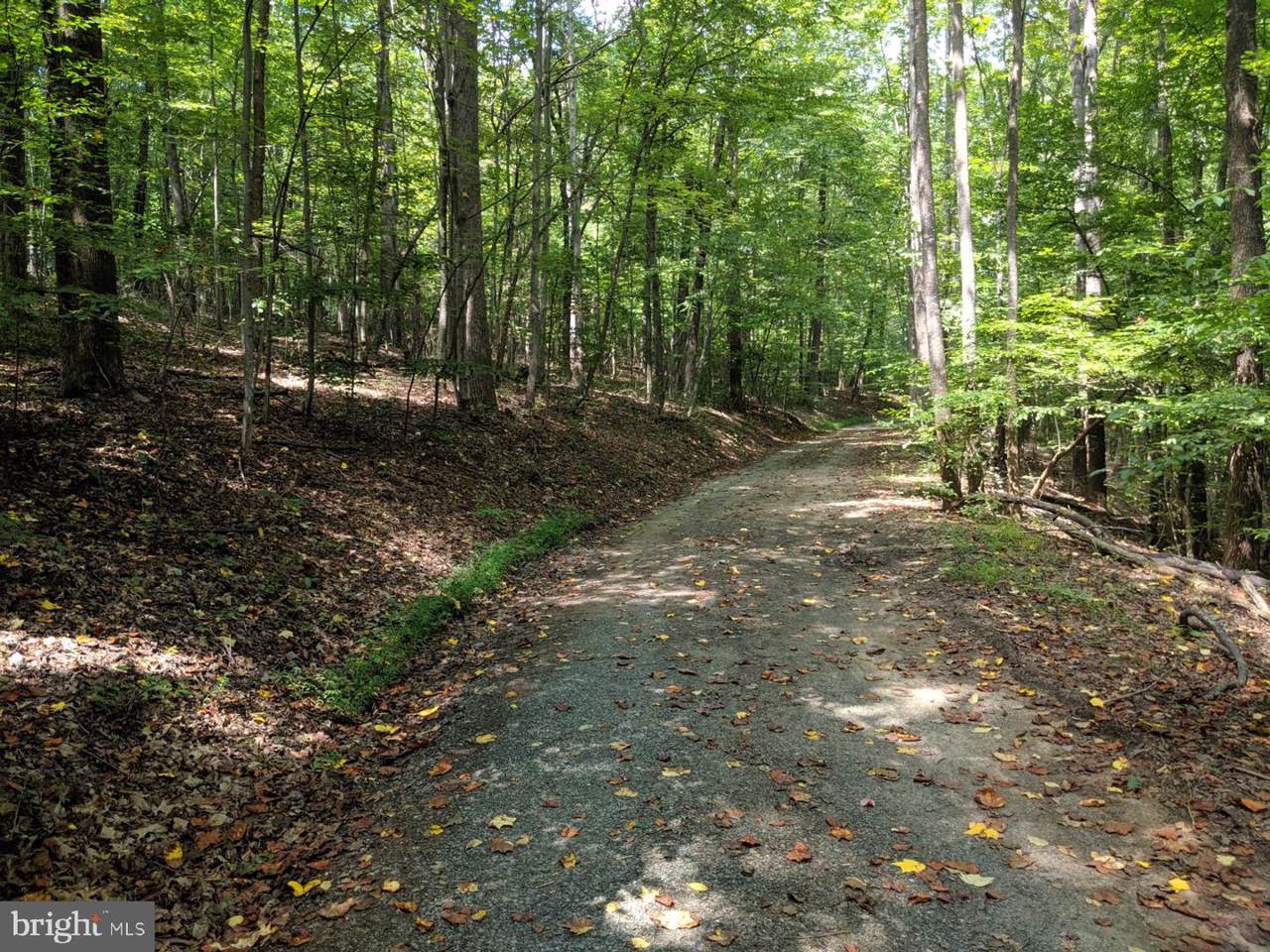 TM 38-20K Ruth Hollow Fire Trail - Photo 1