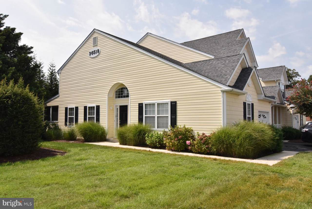 36518 Palm Drive - Photo 1