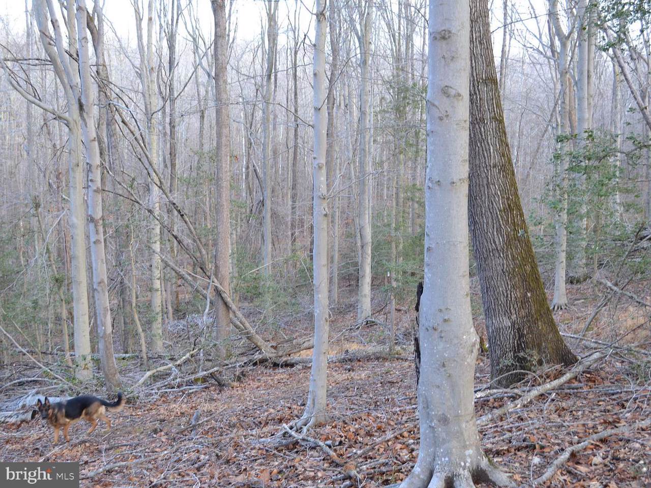 Poorhouse Road - Photo 1