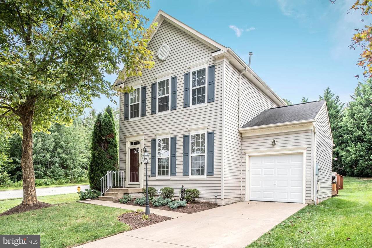 5501 Hobsons Choice Loop - Photo 1