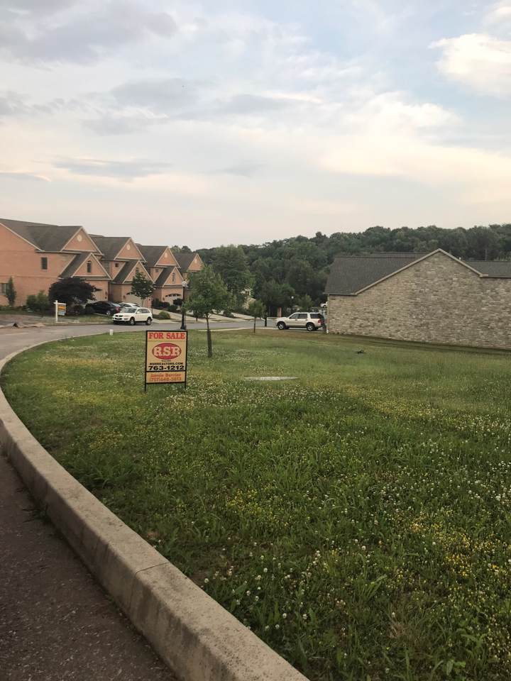 Lot 201 Royal Ave - Photo 1