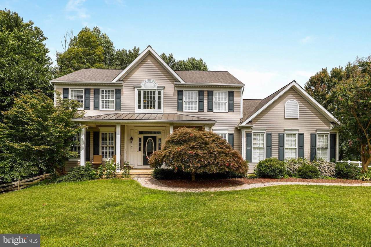 1201 Leafy Hollow Circle - Photo 1