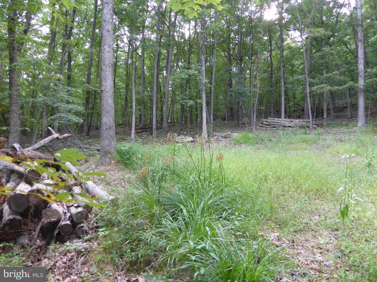 17 B Dove Drive - Photo 1