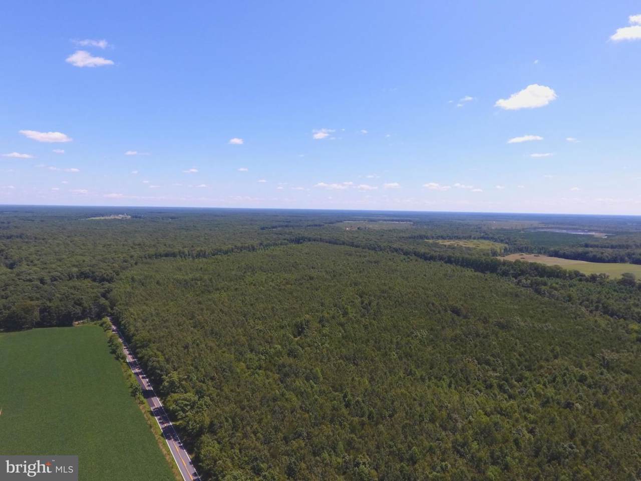 0 Old Plank Road - Photo 1