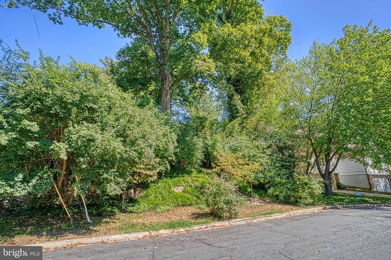 Washington Avenue - Photo 1