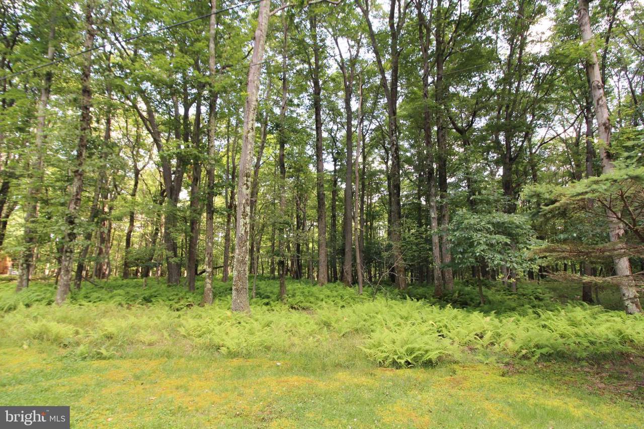 Lot 87 E Alpine Drive - Photo 1