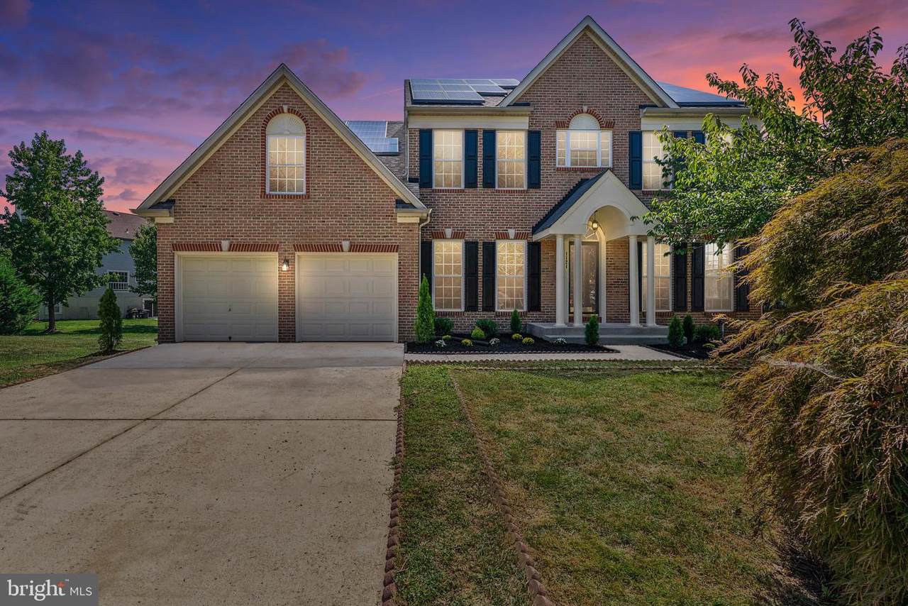 1121 Andean Goose Way - Photo 1
