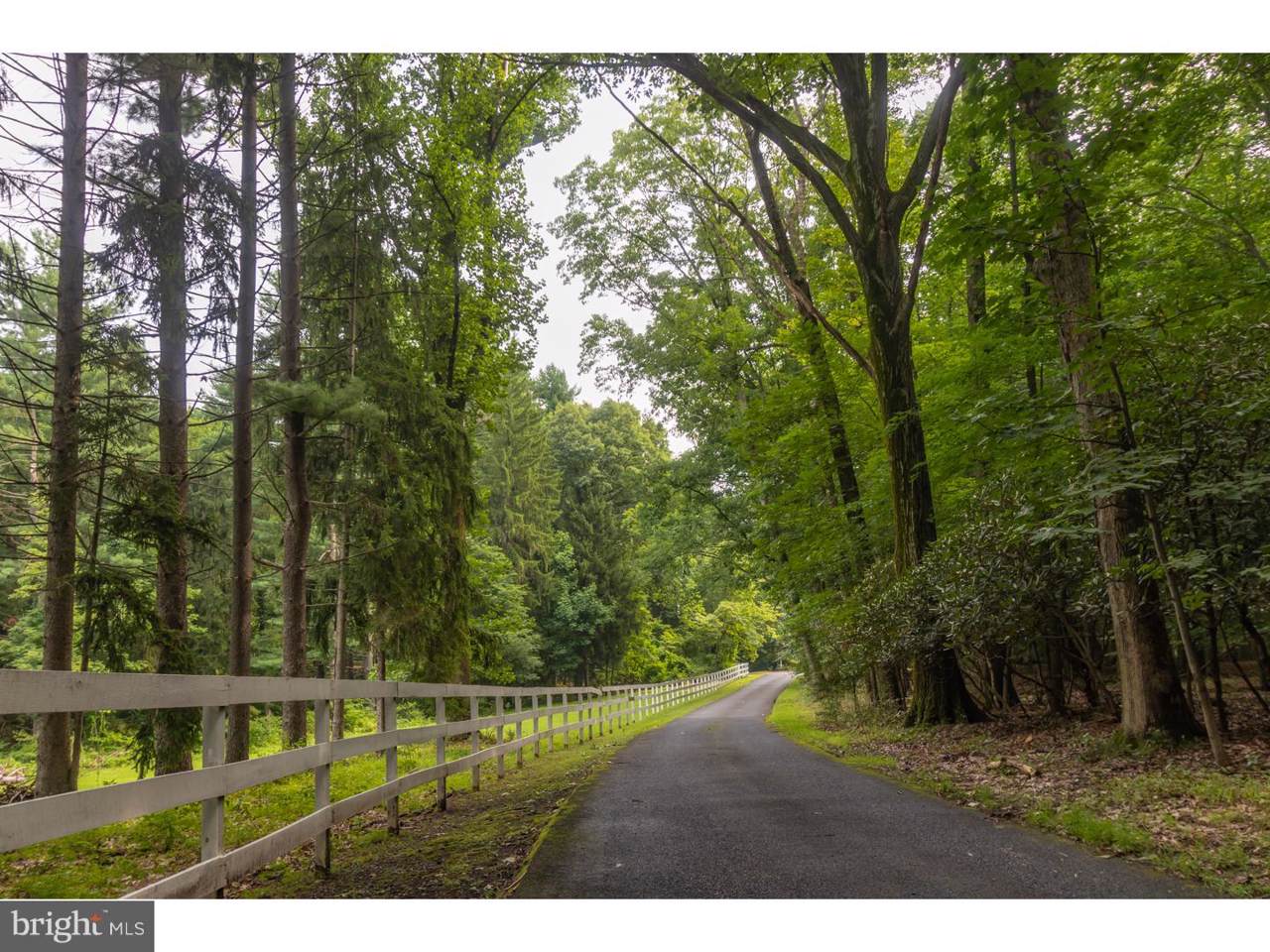 3007 Holicong Road - Photo 1