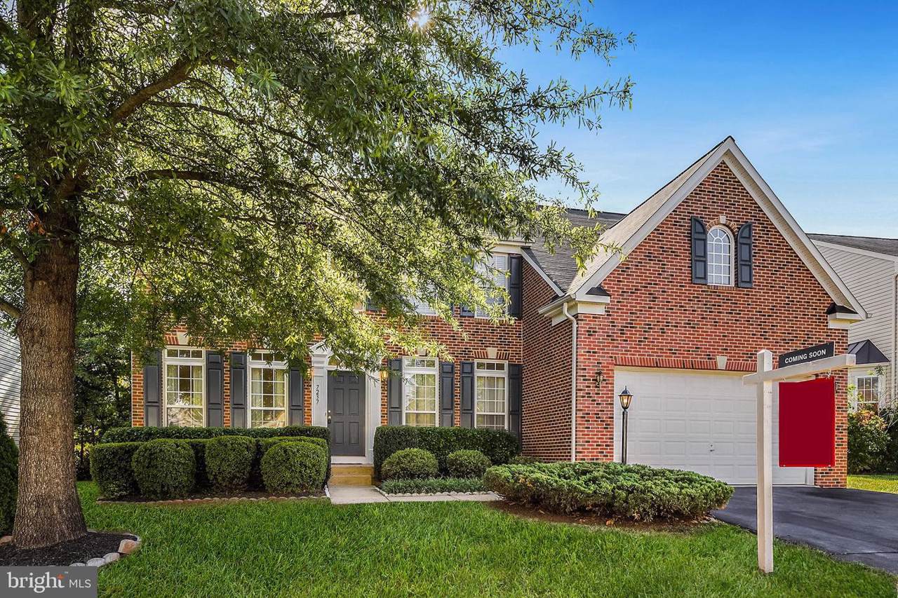 7237 Bladen Place - Photo 1