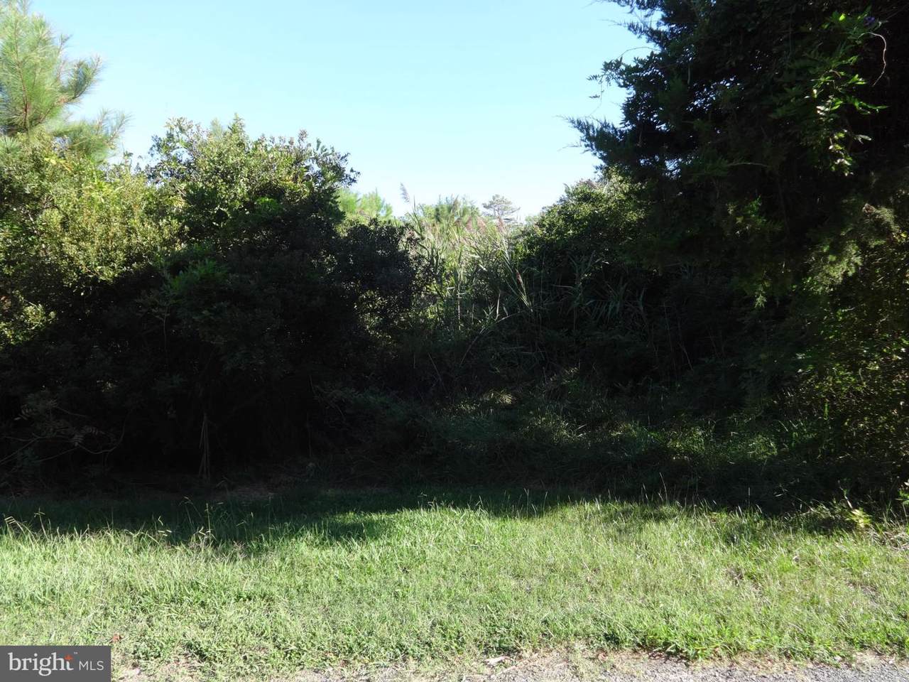 7500 Lower Hill - Photo 1