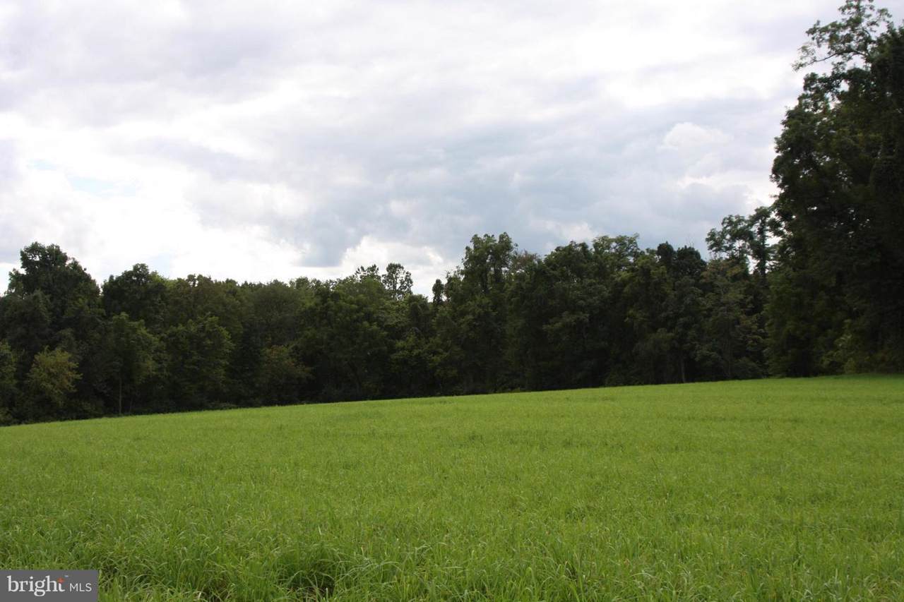 1155 Klines Run Road - Photo 1