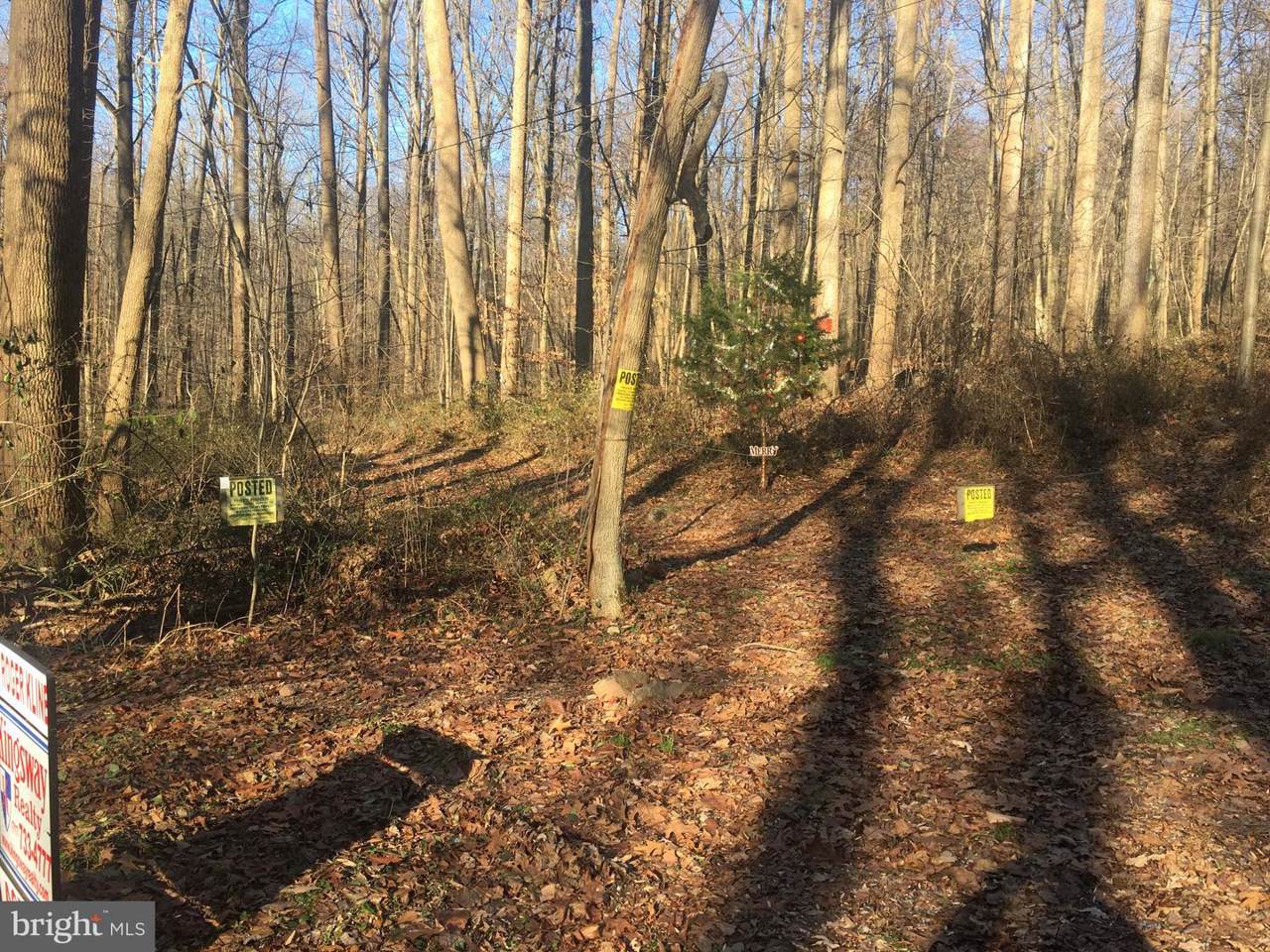 0 Mountain Spring Road - Photo 1