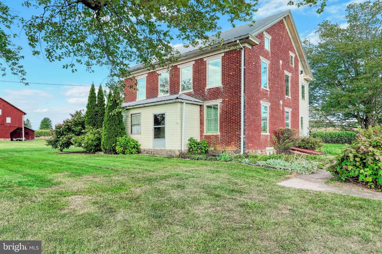 245 White Oak Tree Road - Photo 1