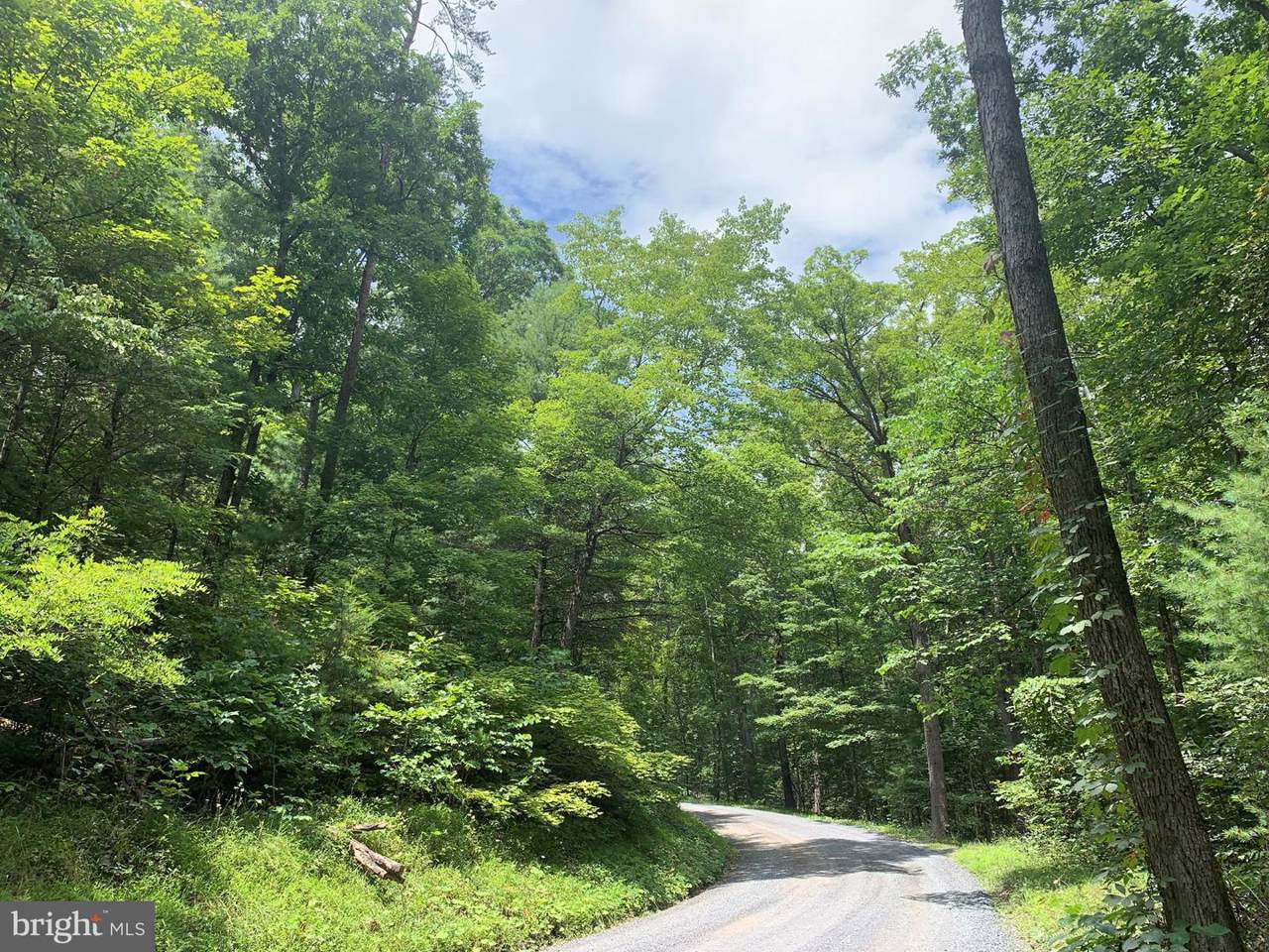 LOT 10 Crooked Run Road - Photo 1