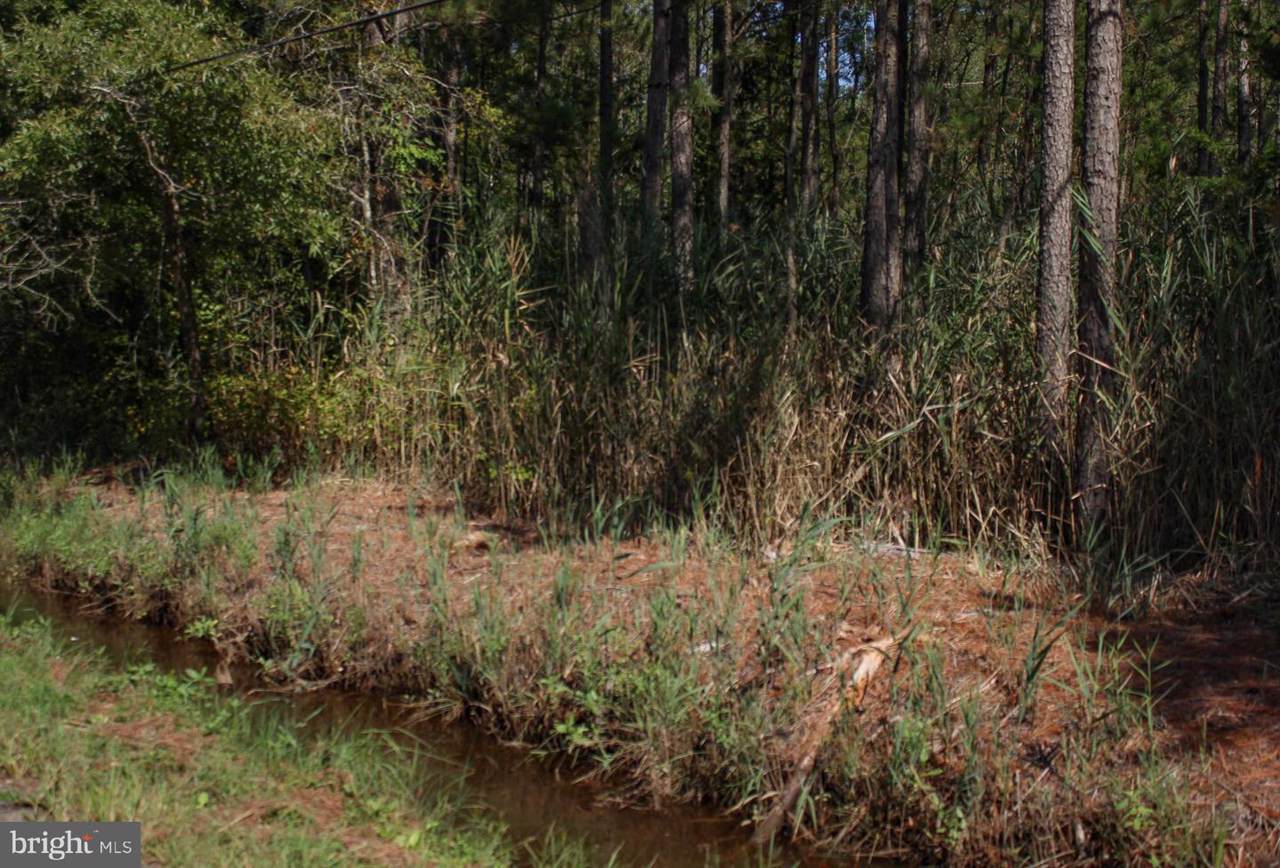0 Oriole Back Rd - Photo 1