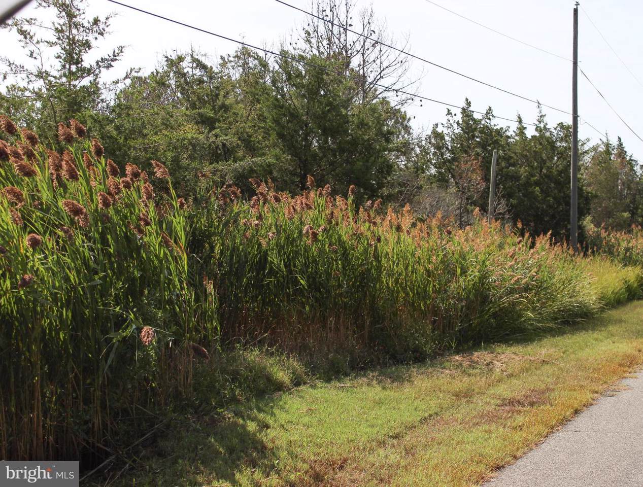 0 Sackertown Road - Photo 1