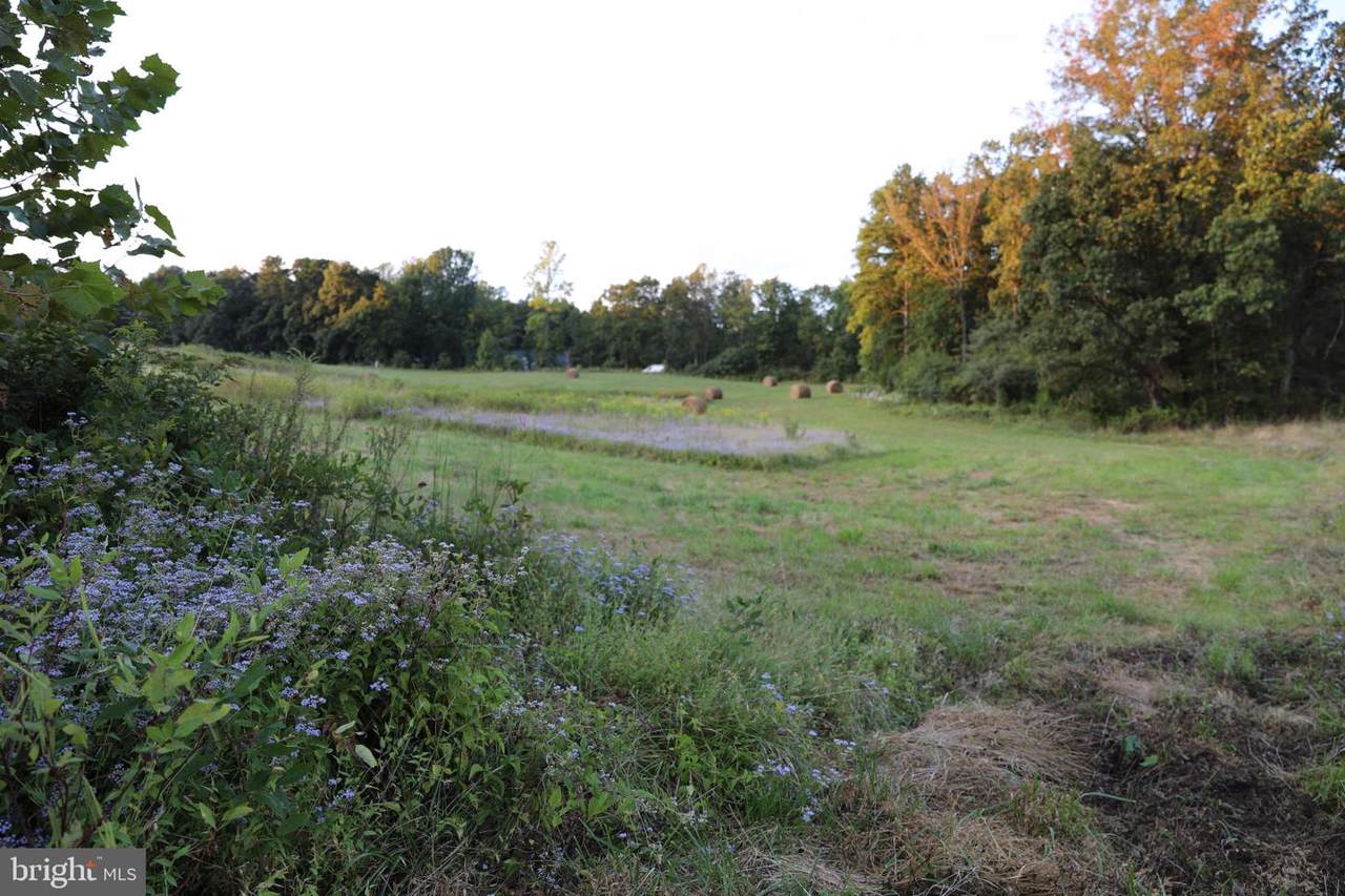Lot 22 Savannah - Photo 1