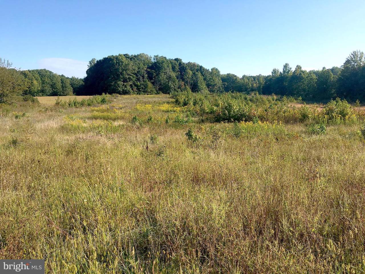Poplar Road - Photo 1