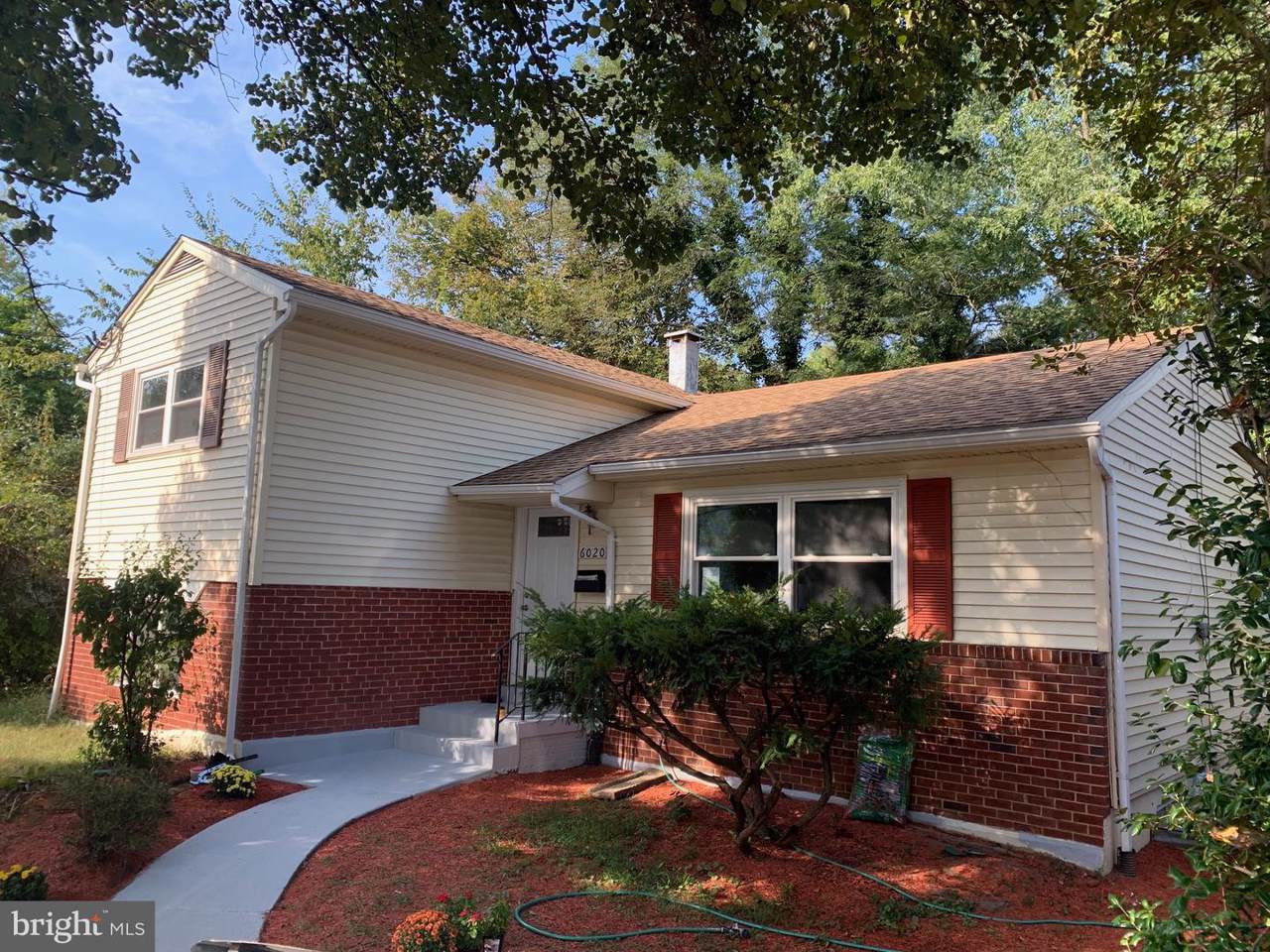 6020 Mustang Drive - Photo 1