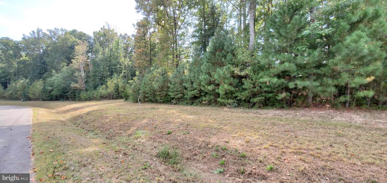 16028 Harrison Way - Photo 1