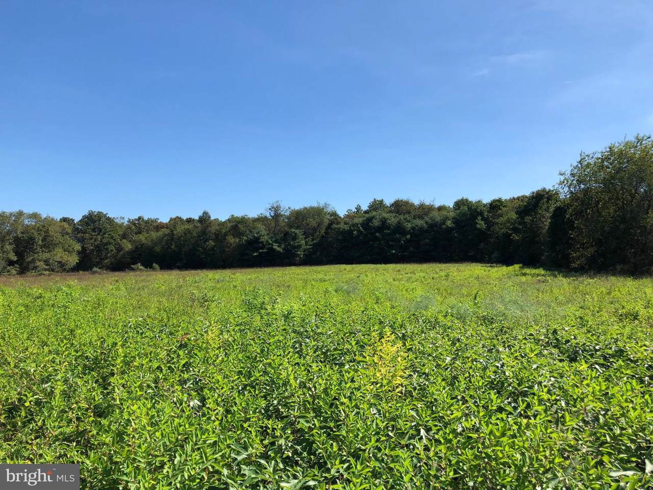 583 Buck Road - Photo 1