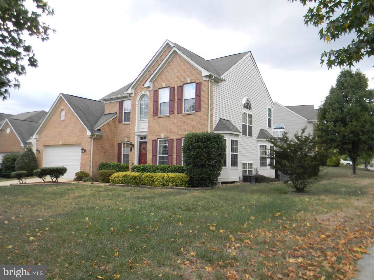 12081 Blue Mount Court - Photo 1