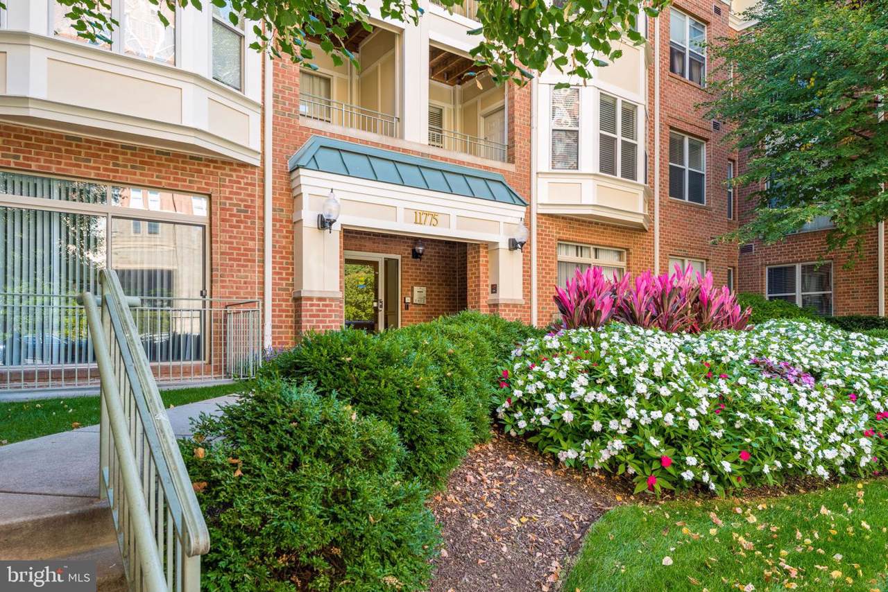 11775 Stratford House Place - Photo 1