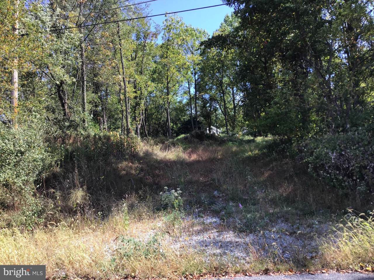 35 Shirley Trail - Photo 1