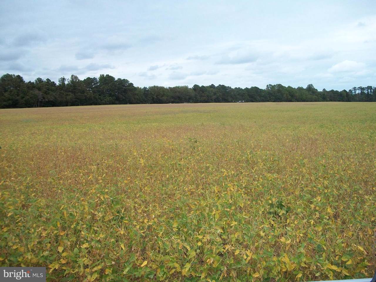 Lot 5 Prettyman Road - Photo 1