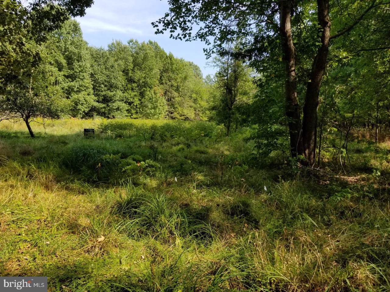 4923 Idlewilde Road - Photo 1